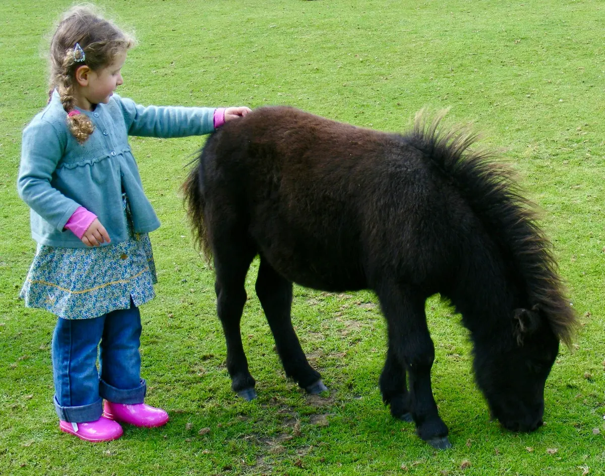 Balade de Pâques au ranch de Chadenac