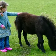 Balade de Pâques au ranch de Chadenac