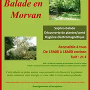 Balade déconnectée en Morvan