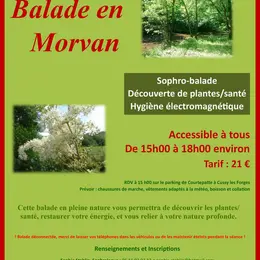 Balade déconnectée en Morvan