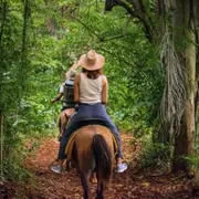Balade découverte 1h à cheval proche d'Annecy (74)