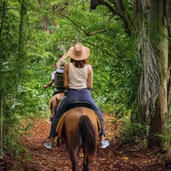 Balade découverte 1h à cheval proche d'Annecy (74)