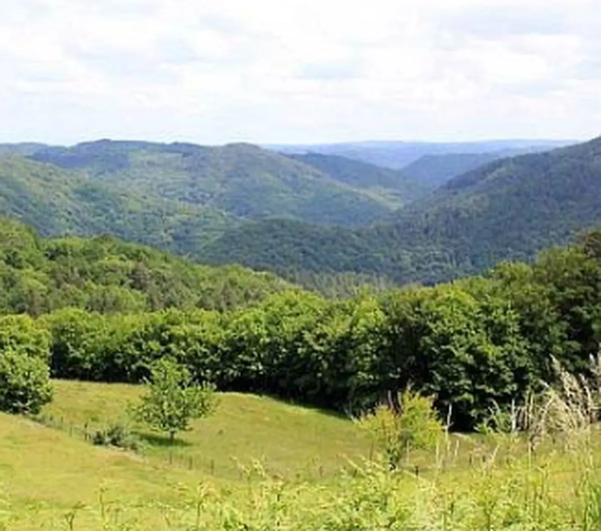 Balade-découverte à Albussac:  Nature et paysages du site de Roche de Vic