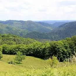 Balade-découverte à Albussac:  Nature et paysages du site de Roche de Vic