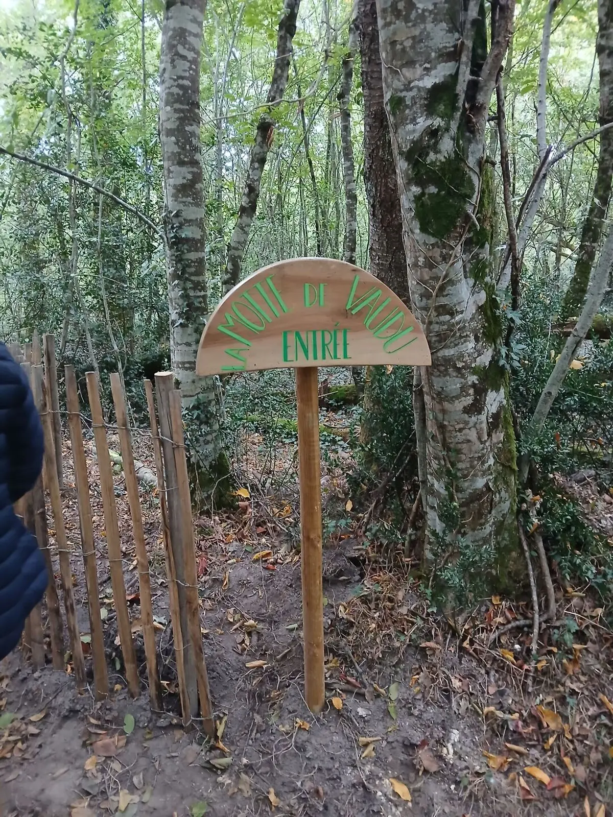 Balade découverte à la Motte de Vaudu et à la pierre de Champmartin