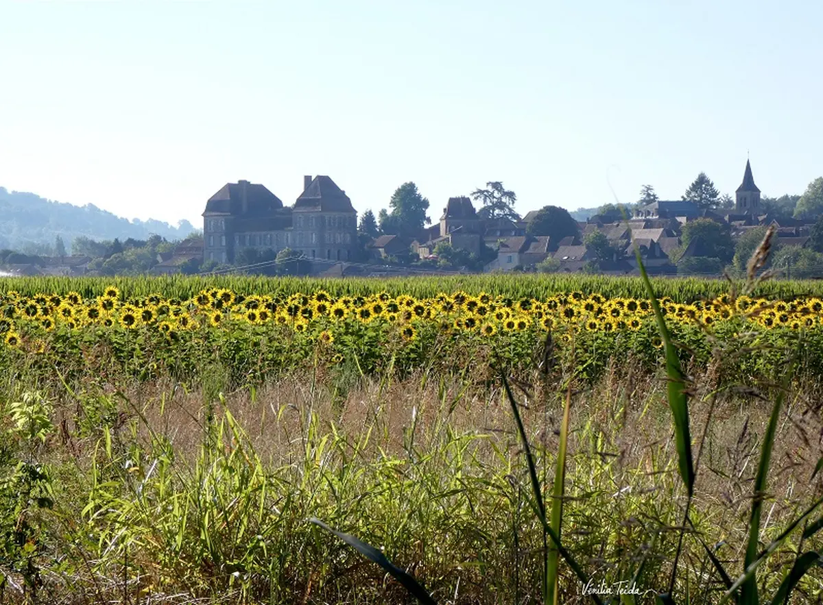 Balade découverte créative des paysages de Siorac