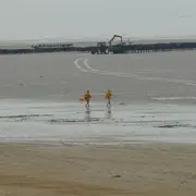 Balade : découverte de l'estran