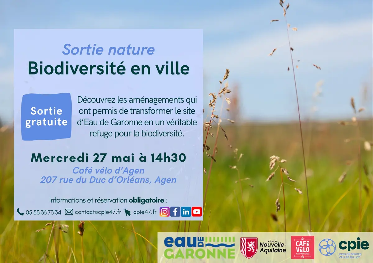 Balade découverte de la biodiversité en ville
