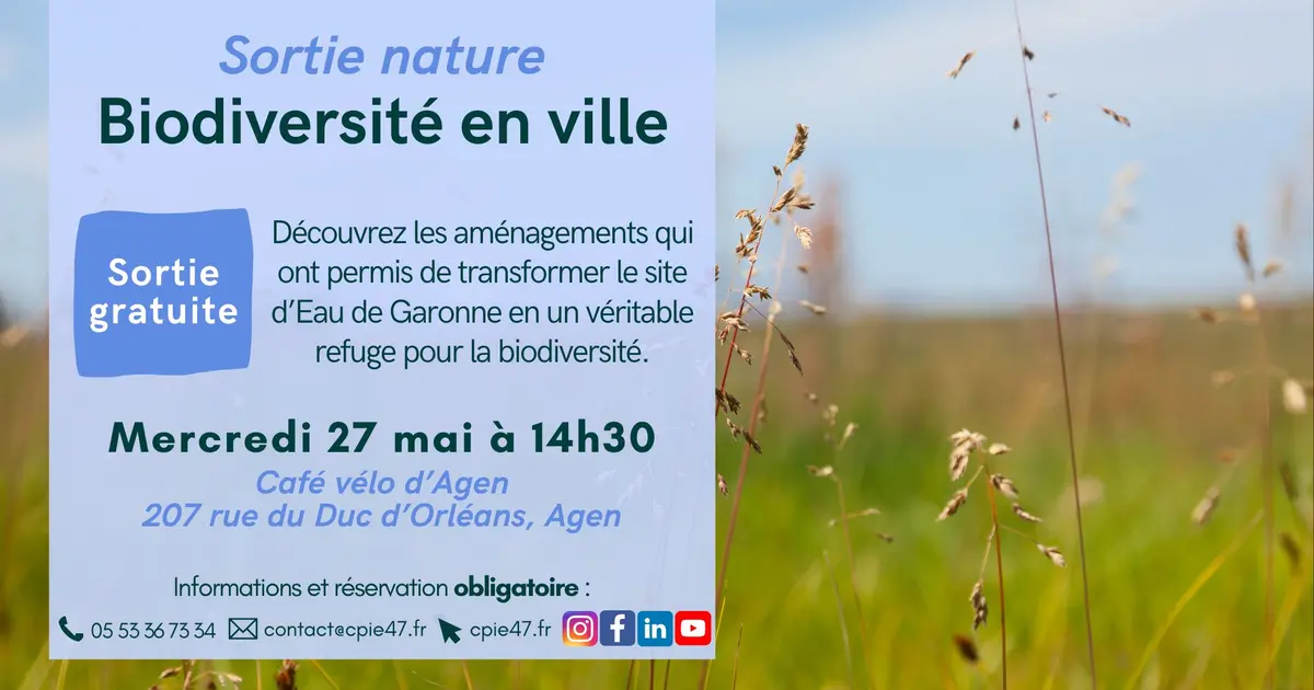Balade découverte de la biodiversité en ville