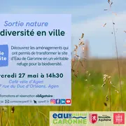 Balade découverte de la biodiversité en ville