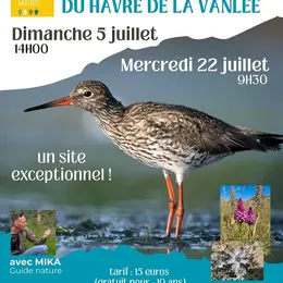 Balade découverte de la faune et de la flore du Havre de la Vanlée