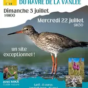 Balade découverte de la faune et de la flore du Havre de la Vanlée