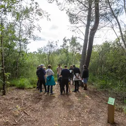 Balade découverte de la lagune d'Hournaou