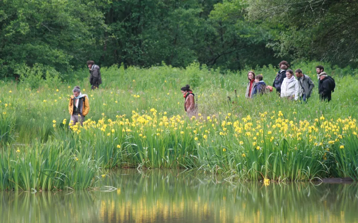 Balade découverte des réserves : l'étang de Chourroumillas