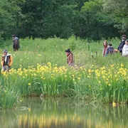 Balade découverte des réserves : l'étang de Chourroumillas