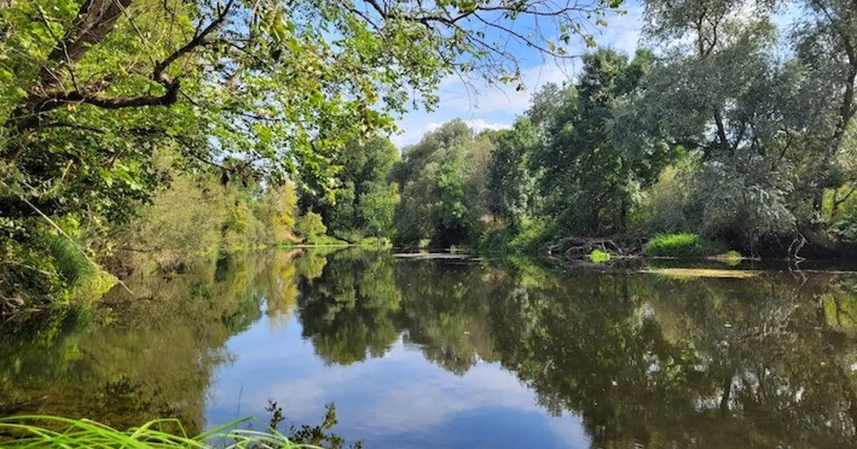 Balade découverte des Sablons de Corquoy