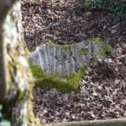 Balade découverte et visite de la Maison de la Préhistoire Othéenne
