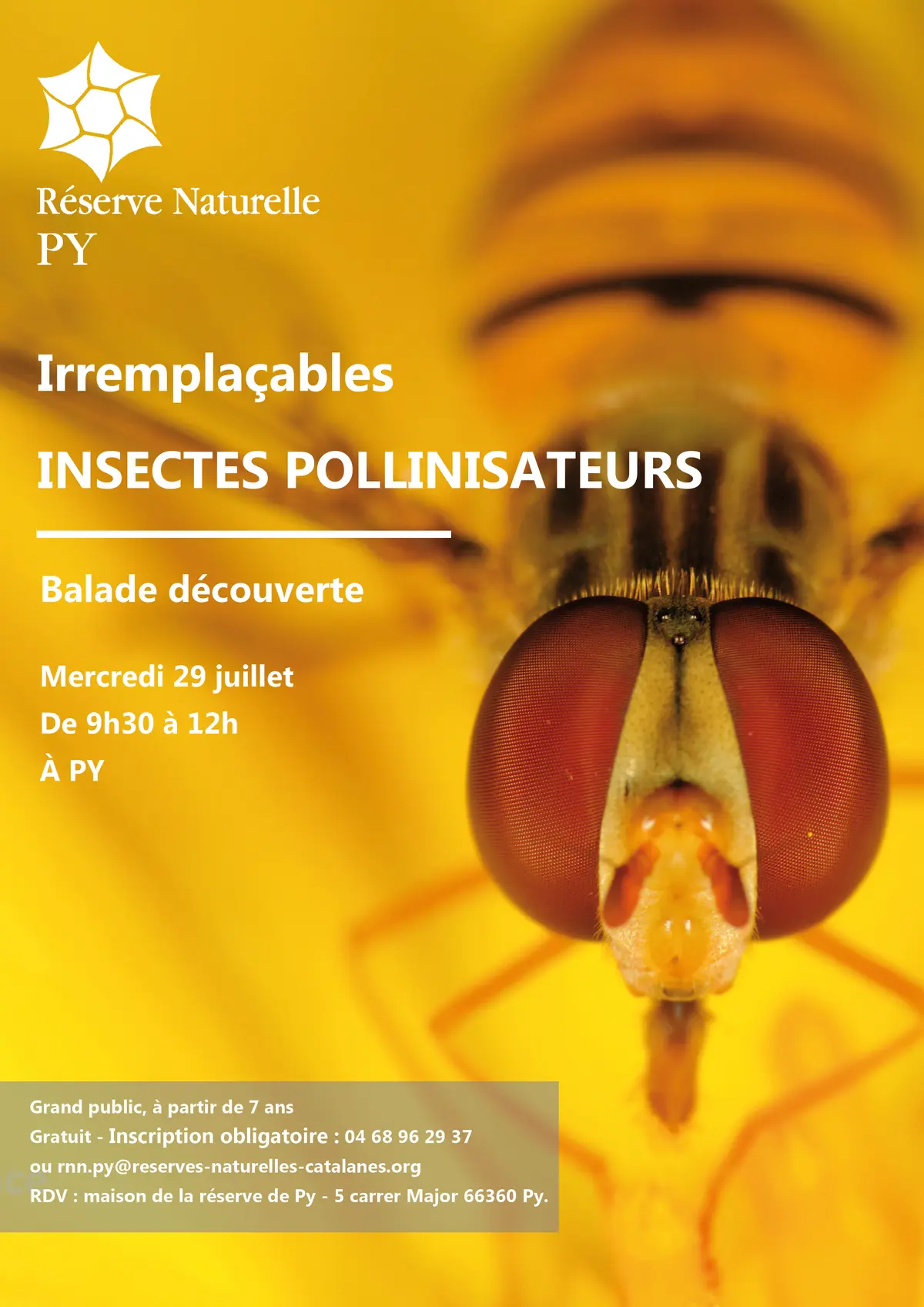 Balade Découverte : Irremplaçables Insectes Pollinisateurs