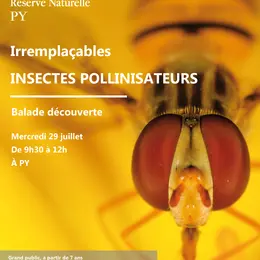 Balade Découverte : Irremplaçables Insectes Pollinisateurs