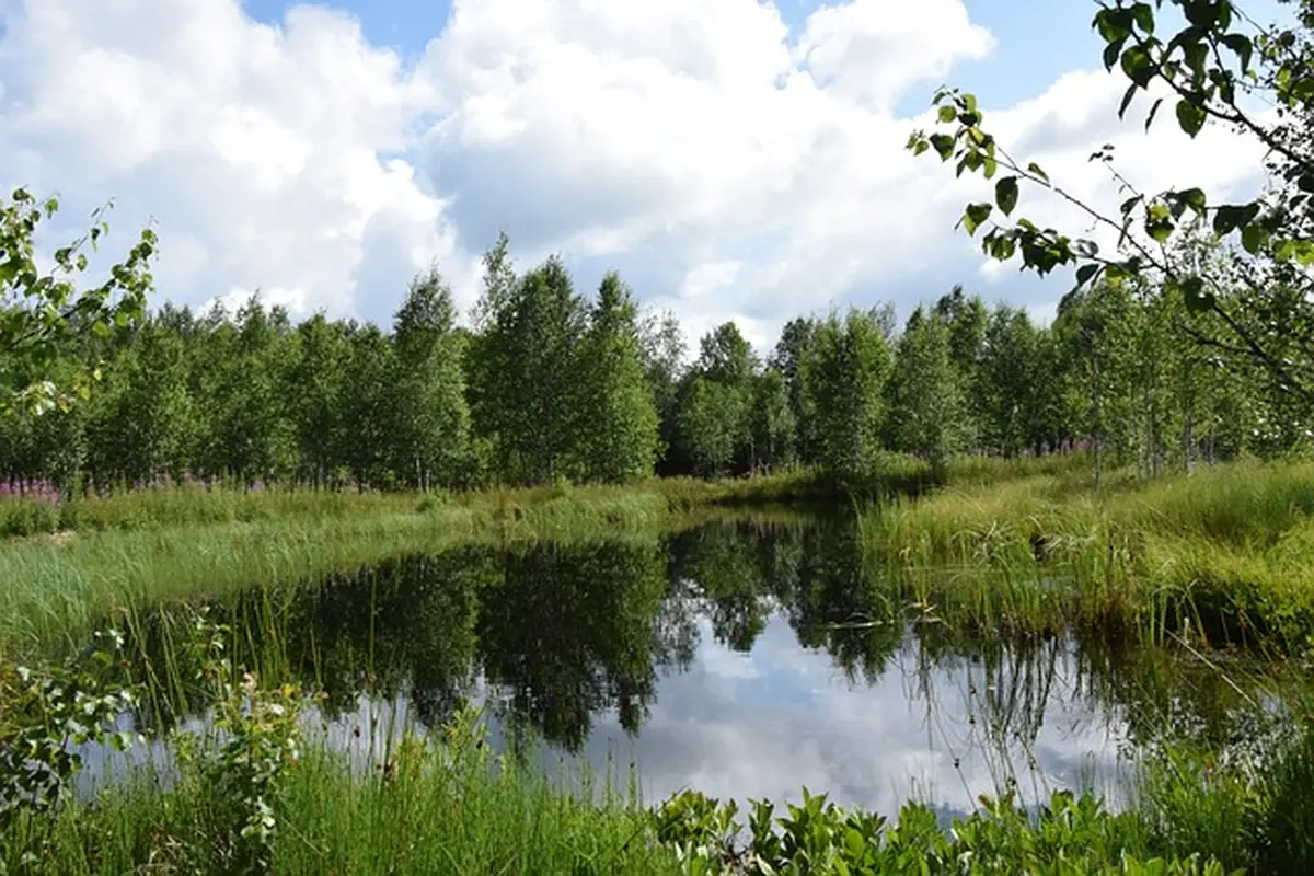 Balade-découverte La Nature à la tombée de la nuit au Lac de Feyt