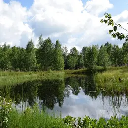 Balade-découverte La Nature à la tombée de la nuit au Lac de Feyt