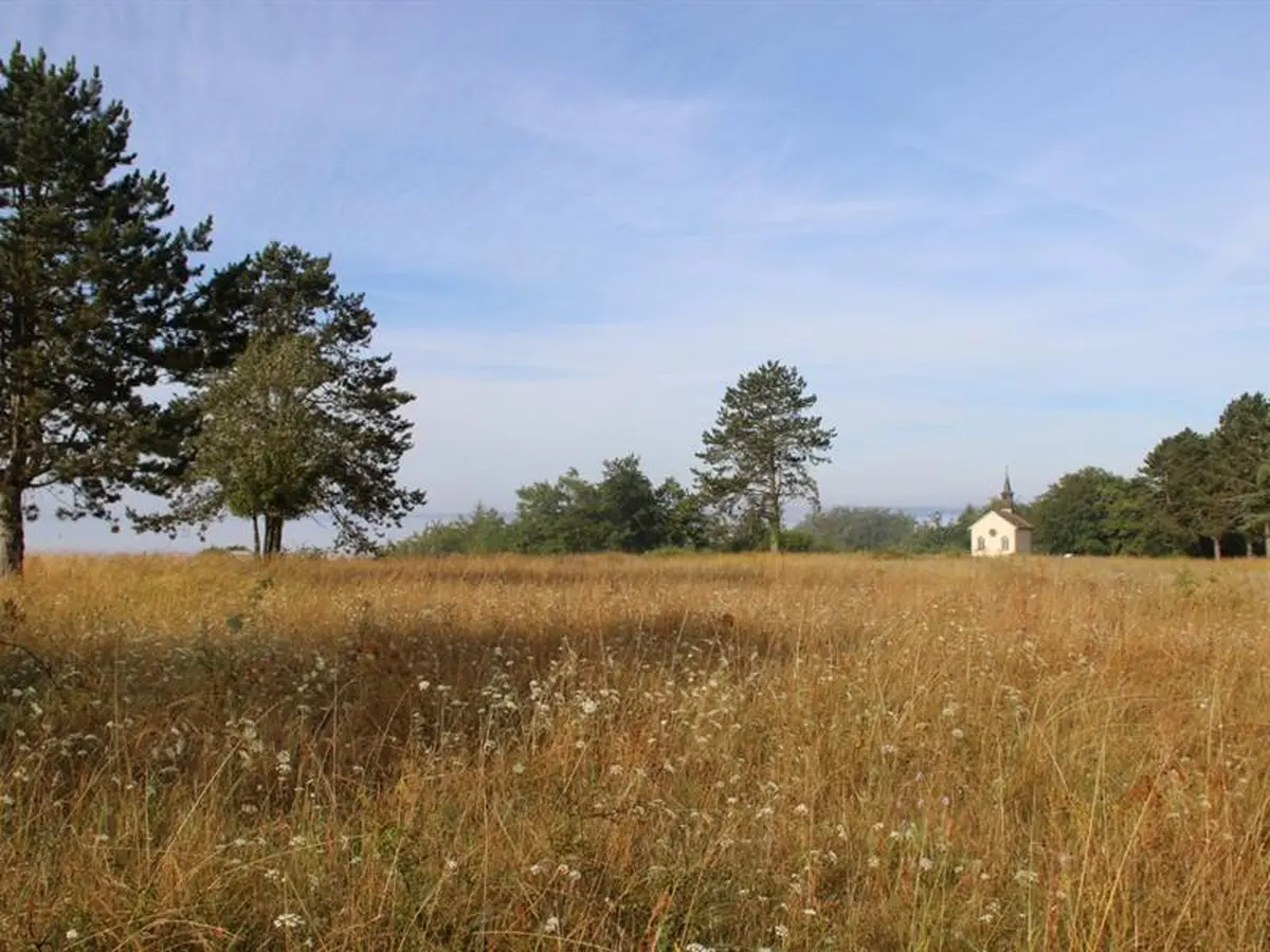 Balade « Découverte paysagère au plateau de Beauregard »