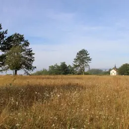 Balade « Découverte paysagère au plateau de Beauregard »