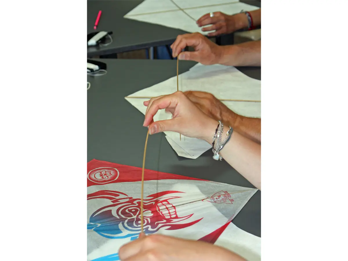 Balade découverte sur la plage d'Hermanville (comprend un atelier cerf volant)