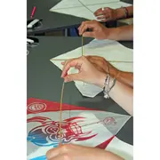 Balade découverte sur la plage d'Hermanville (comprend un atelier cerf volant)