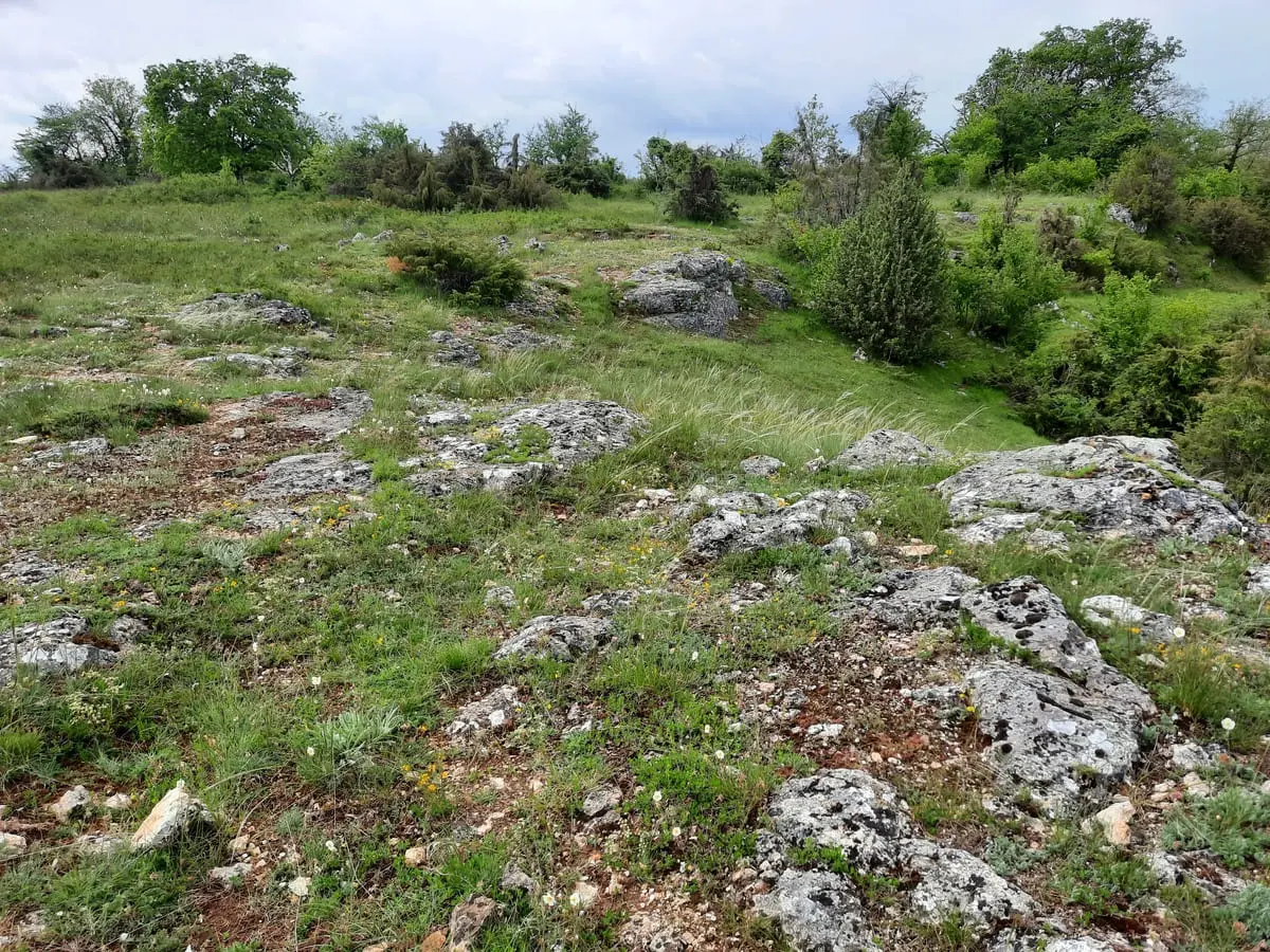 Balade découverte sur le plus grand causse du Berry
