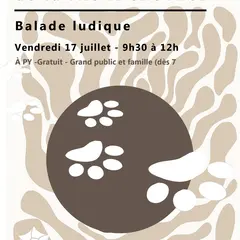 Balade Découverte : Traces Et Indices De La Faune Sauvage