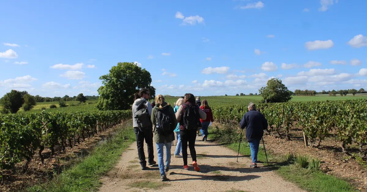 Balade-dégustation "It’s wine time" dans les vignes Ousson-sur-Loire : date, horaires, tarifs