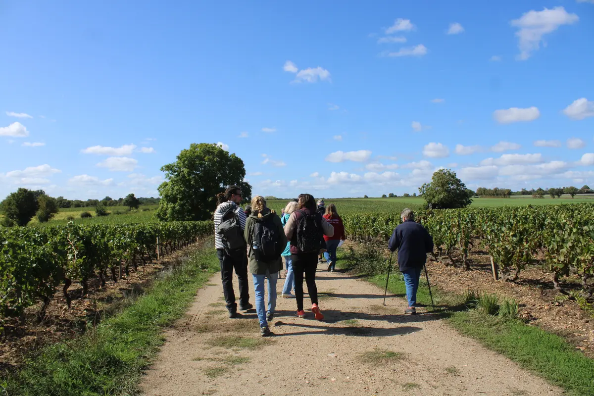 Balade-dégustation It's wine time dans les vignes