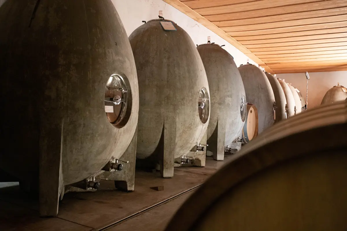 Balade Des Saveurs - Château Maris