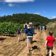 Balade Des Saveurs : « Les Secrets Du Vin ; Entre Légendes Et Histoires »