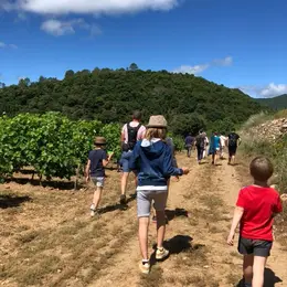 Balade Des Saveurs : « Les Secrets Du Vin ; Entre Légendes Et Histoires »