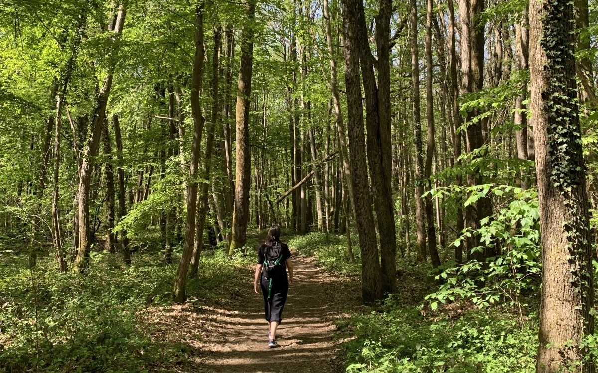 Balade-Ecriture de Lardy à Chamarande