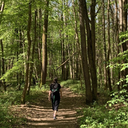 Balade-ecriture - De Lardy à Chamarande