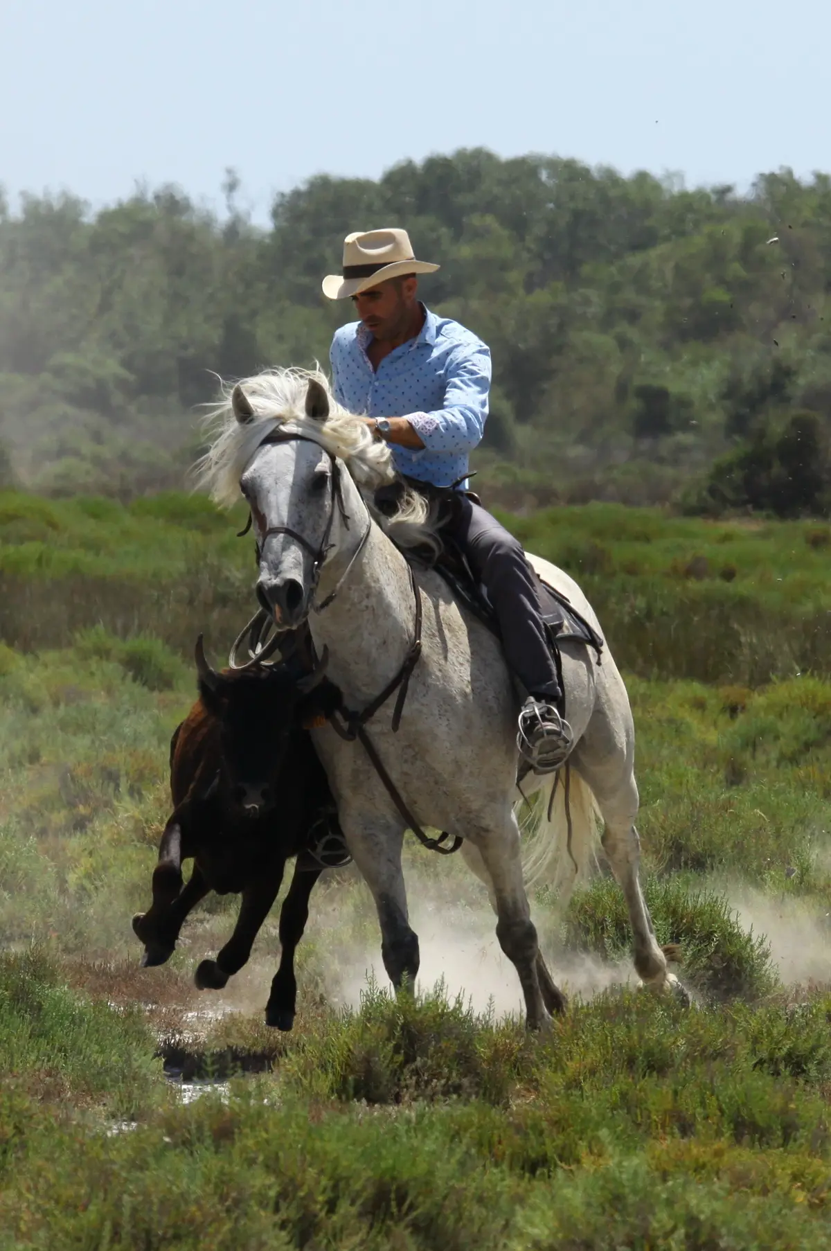 Balade en 4x4 à la manade Jacques Bon