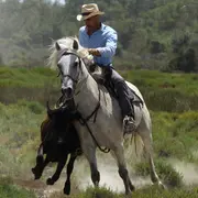 Balade en 4x4 à la manade Jacques Bon