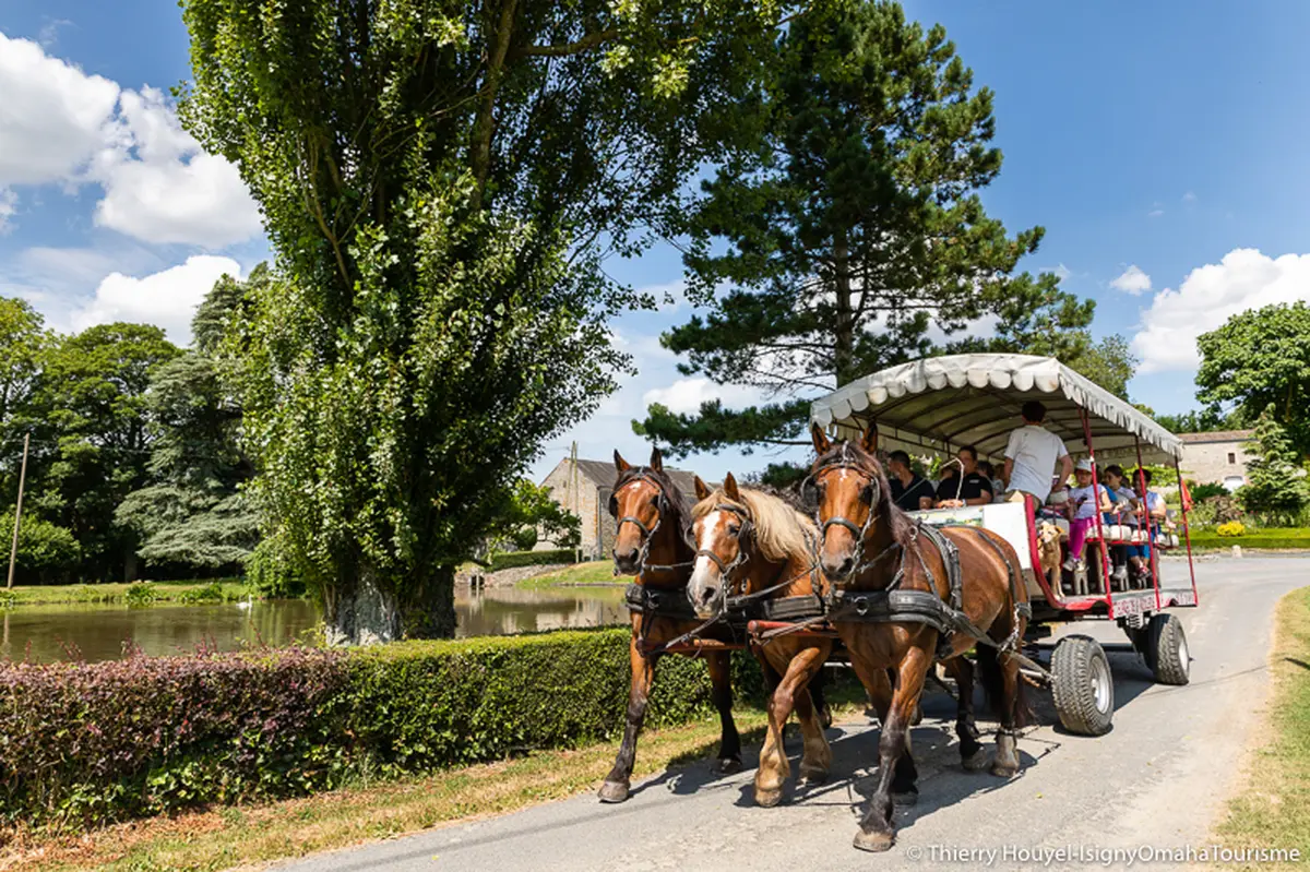 Balade en attelage Histoire de Grandcamp-Maisy, entre mer et villas