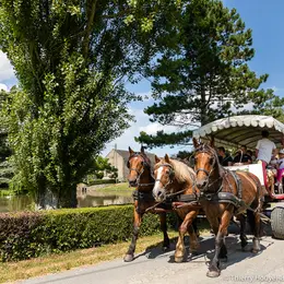Balade en attelage Histoire de Grandcamp-Maisy, entre mer et villas