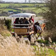 Balade en attelage Marais et gourmandises, au rythme des chevaux