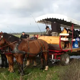 Balade en attelage : St Germain du Pert, entre histoire et vergers, au rythme des chevaux