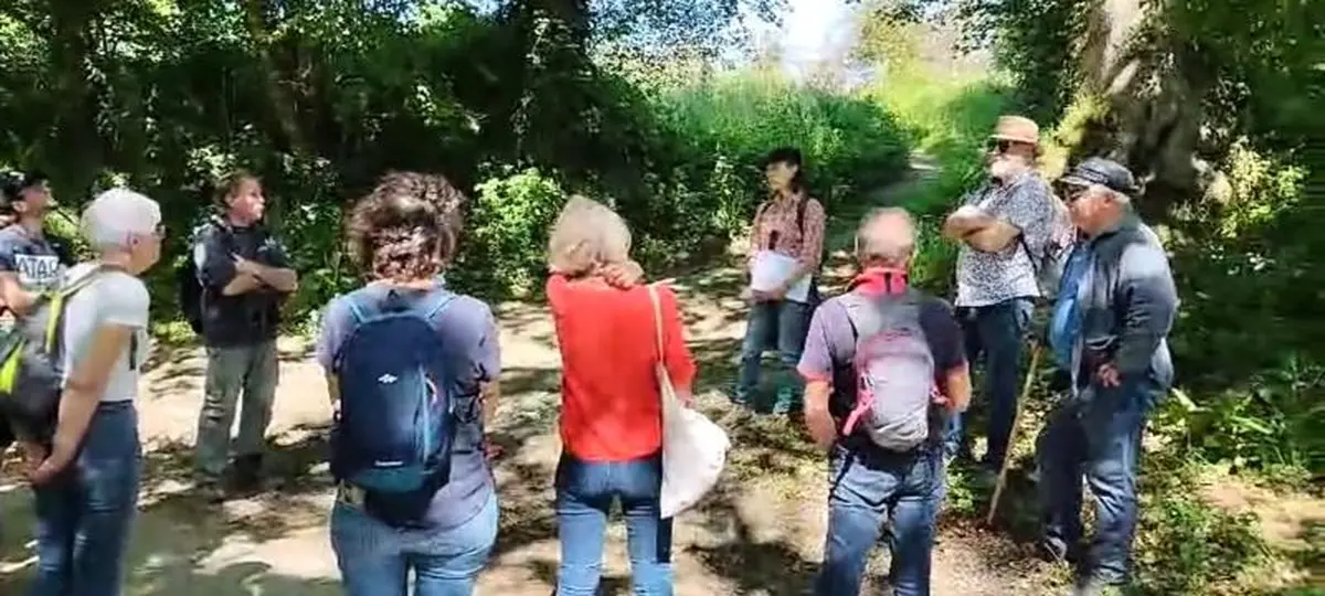 Balade en baskets : visite sportive du bocage