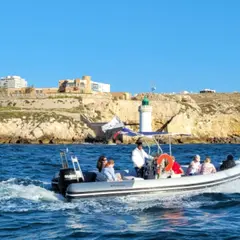 Balade en bateau aux îles du Frioul depuis Marseille