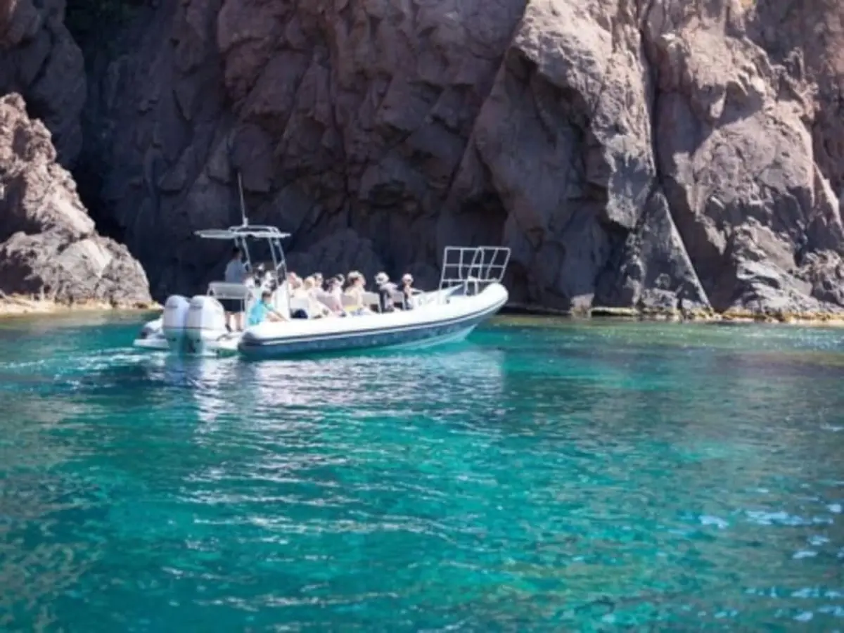 Balade en bateau Grand tour du Golfe depuis Porto