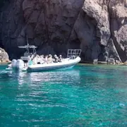 Balade en bateau Grand tour du Golfe depuis Porto