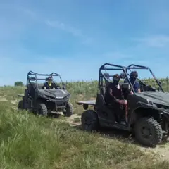 Balade en buggy à Grospierres (07)