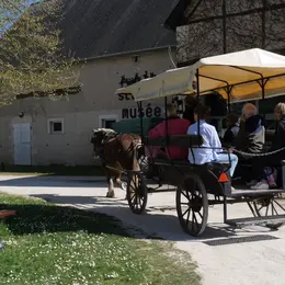 Balade en calèche